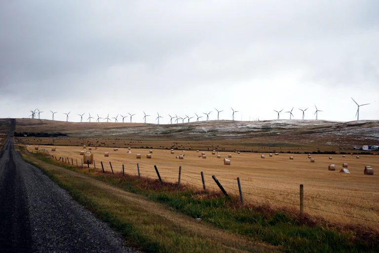 A field full of hay bails is in the foreground and windmills on a hill in the distance
