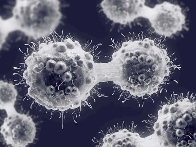 Illustration of cancer cells dividing.