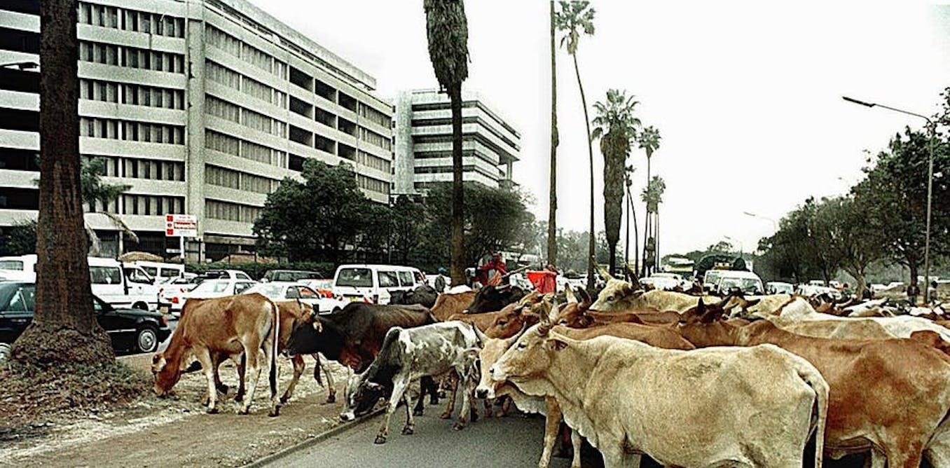 Il ne faut pas confondre les vaches et les voiture dans les débats sur le changement climatique