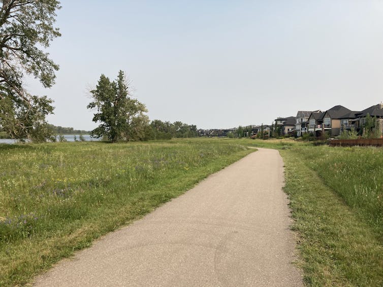 A gravel path and some strips of grass separate a row of homes from a river.