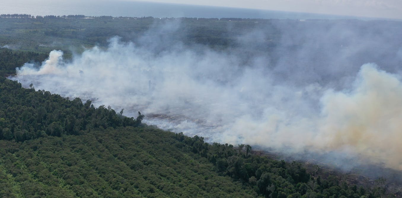 Umur hutan primer gambut Sumatra dan Kalimantan hanya tersisa 50 tahun lagi bila laju kebakaran tak diturunkan