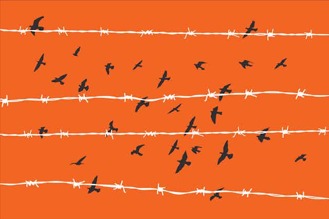An illustration of black birds flying over white barbed wire against an orange backdrop.