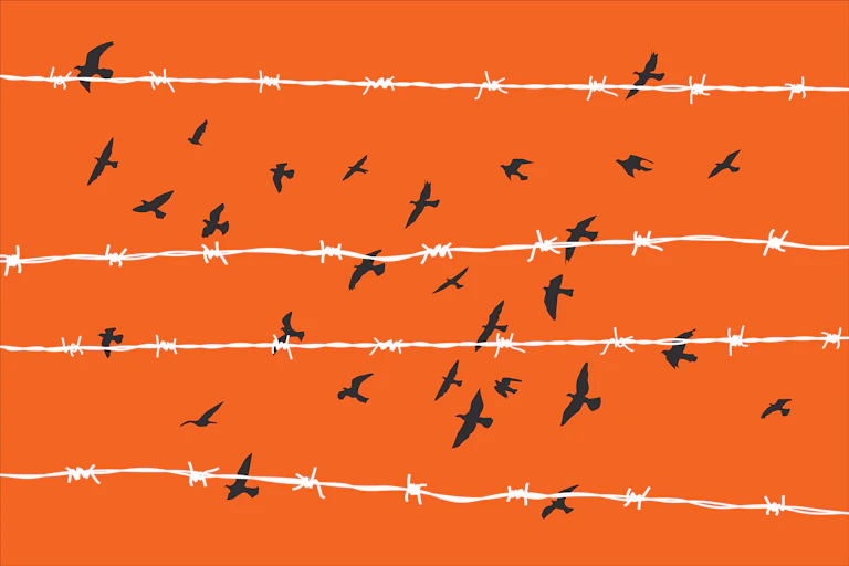 An illustration of black birds flying over white barbed wire against an orange backdrop.