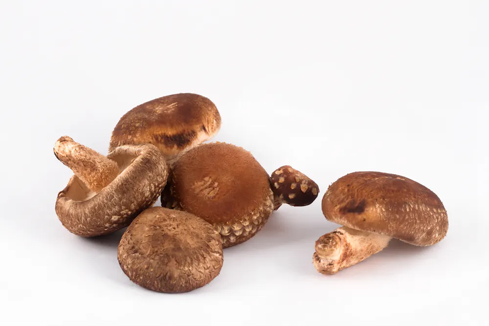 Las setas son mucho más que fibra: esto es todo lo que aportan