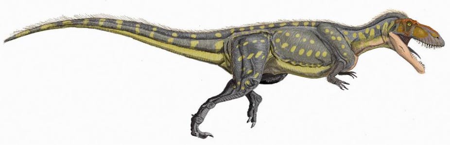 New dinosaur competes to be Europeâs largest land predator