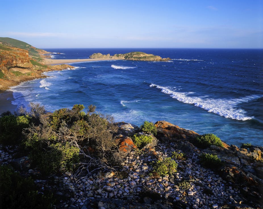A rugged coastline with rocks and plants. The clear blue ocean meets with the sky in the background.