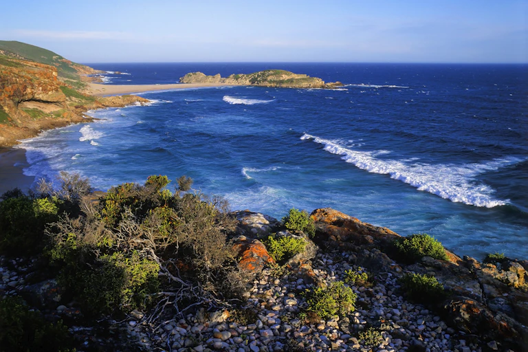 A rugged coastline with rocks and plants. The clear blue ocean meets with the sky in the background.