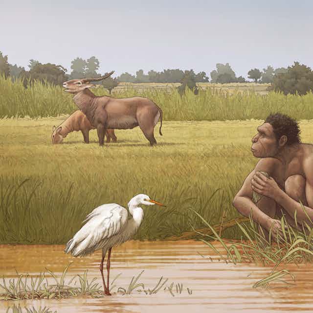 an artist's illustration of human ancestors
