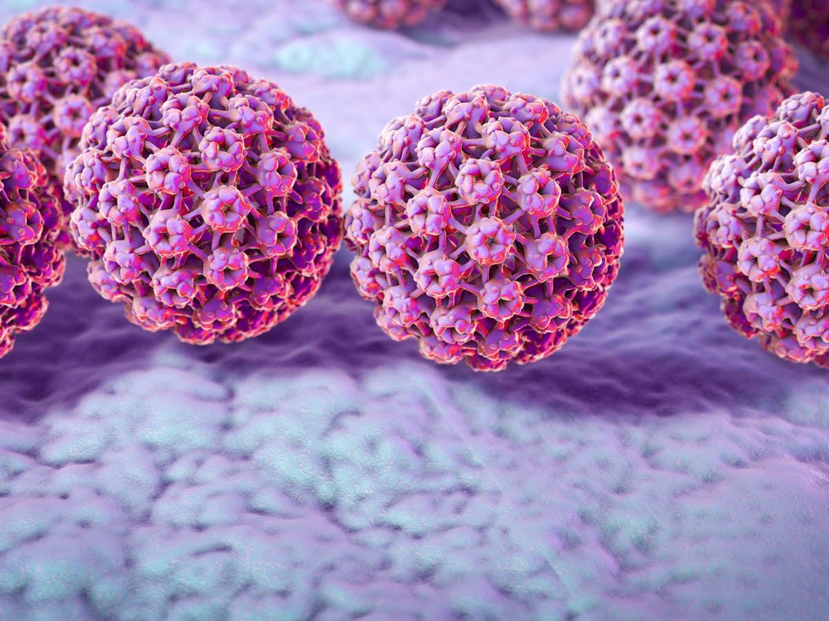 Some Cancers Are Preventable With A Vaccine A Virologist Explains Some Cancers Are Preventable With A Vaccine A Virologist Explains