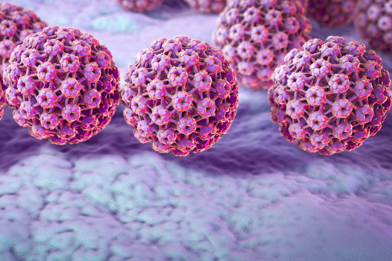 A computer illustration of HPV, the human papilloma virus.