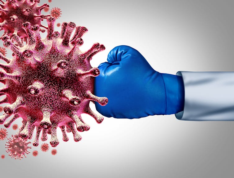 médecin combattant un groupe de cellules pathogènes contagieuses avec un gant de boxe
