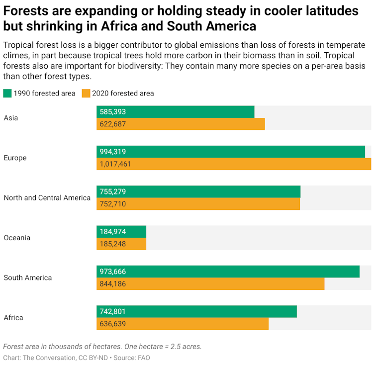 A bar graph showing the change in forested area across different regions between 1990 and 2020.
