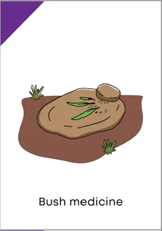 A picture card with a drawing of bush medicine.