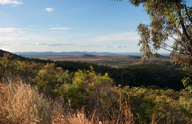 A landscape image of Cape York.