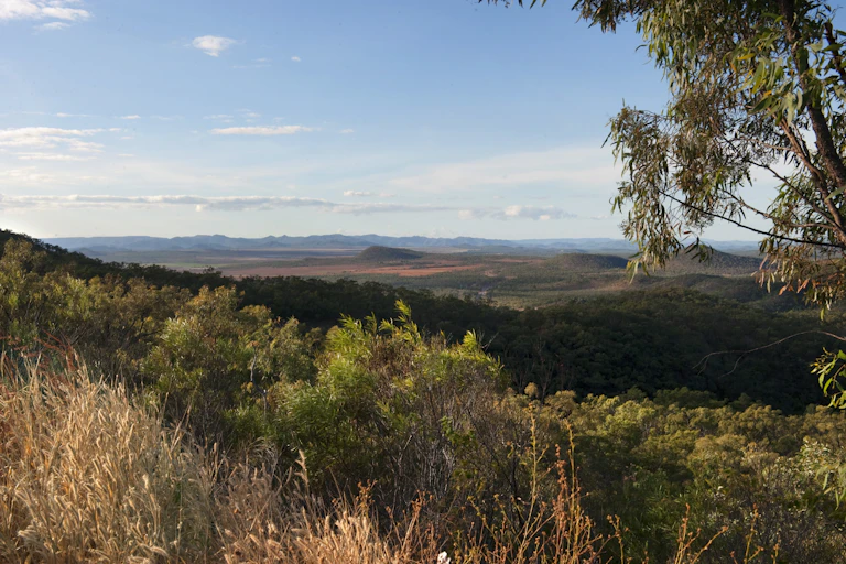 A landscape image of Cape York.