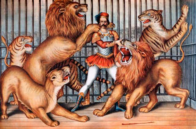 Man poses surrounded by tigers and lions.