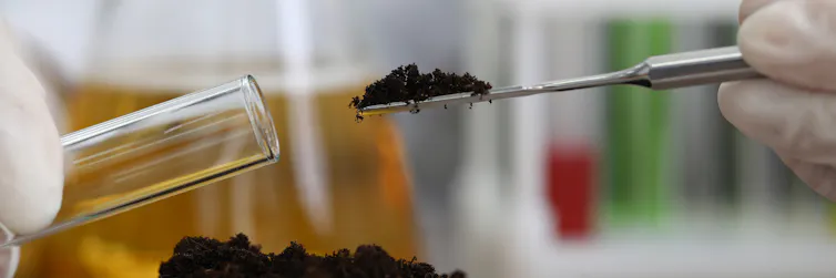 Soil sampling with a test tube
