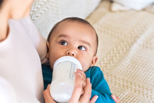 scientists want to give formula-fed babies another option