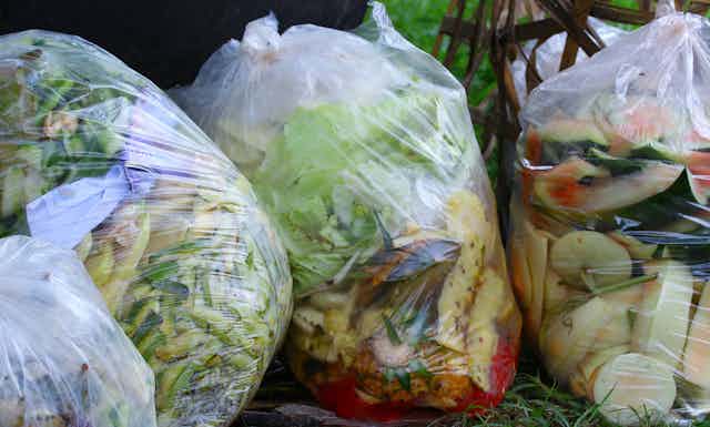 Bags of food scraps waiting to be disposed of.