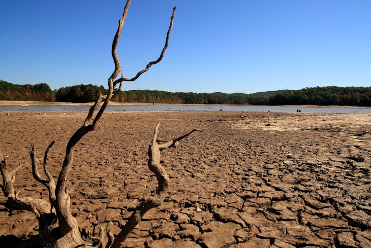 Land struck by drought