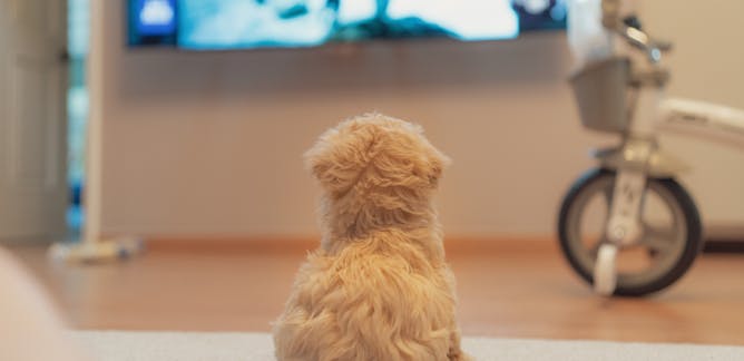 Bottom Line Is That You Want It Sold – Tips To Get It Done Bottom Line Is That You Want It Sold – Tips To Get It Done