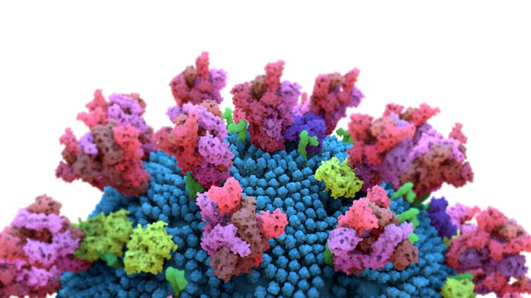 An illustration of the surface of the coronavirus, with its spike proteins highlighted
