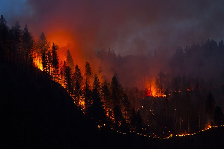A forest fire at night in California.