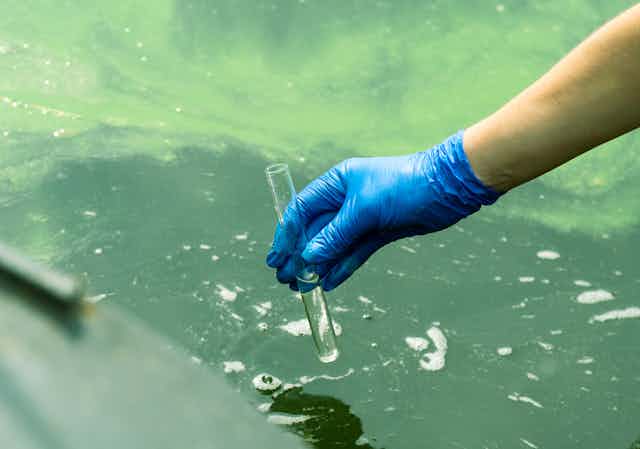 A gloved hand takes water into a test tube from a city reservoir. 