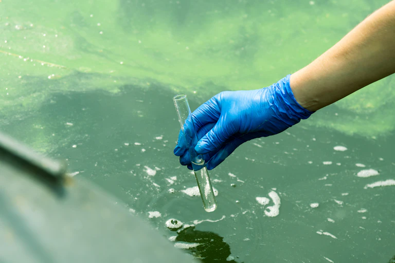 A gloved hand takes water into a test tube from a city reservoir.