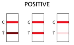 Coloured lines on a rapid antigen test to indicate a positive COVID result