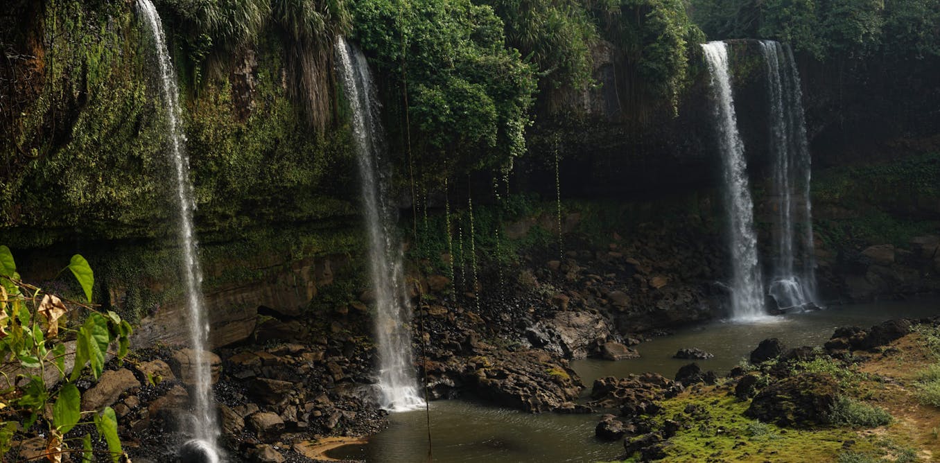 We found a rare insect at an unspoilt stream in Nigeria – sign of a need to explore and protect