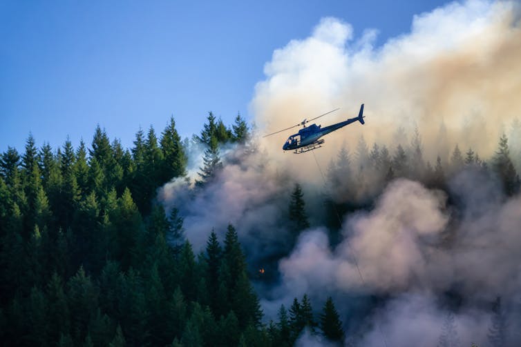 A helicopter flies over a burning pine forest beneath a blue sky.