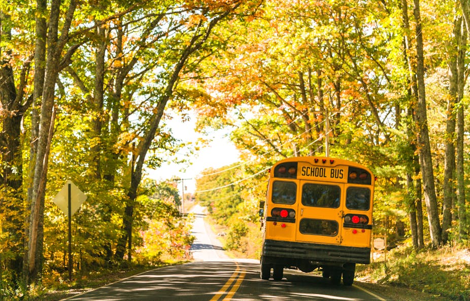 A school bus drives along a road surrounded by tall trees.