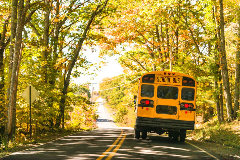 A school bus drives along a road surrounded by tall trees.