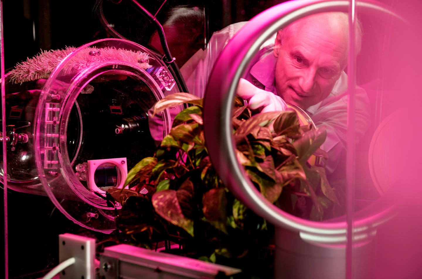 拉克纳站在一个设备后面，这个设备用一种叶子繁茂的植物进行测试。