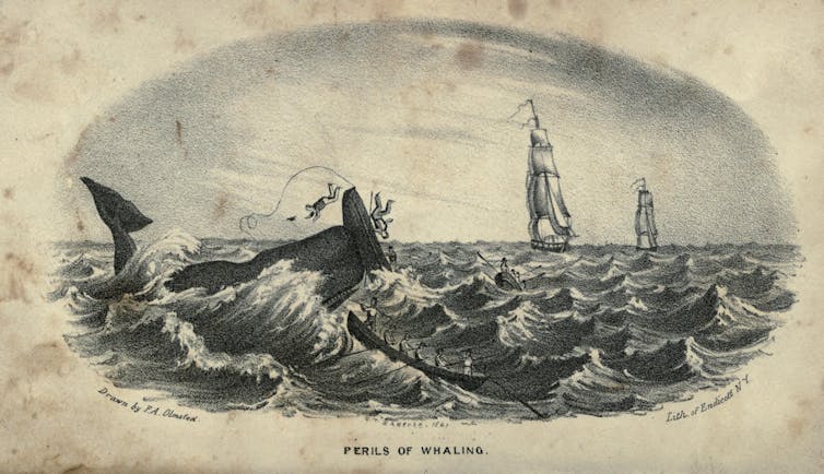 A black and white illustration depicts a whale attacking men in a small boat.