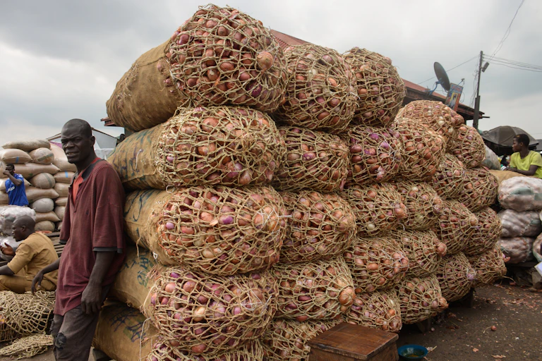 A man rest his back on bags of onions