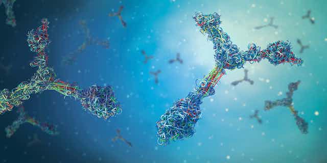 Illustration of antibodies floating in blue background.