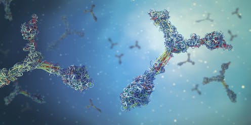 Reverse vaccination technique in mice suggests new way to teach the immune system not to attack lifesaving treatments
