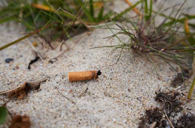 A cigarette butt on the sand, near grass