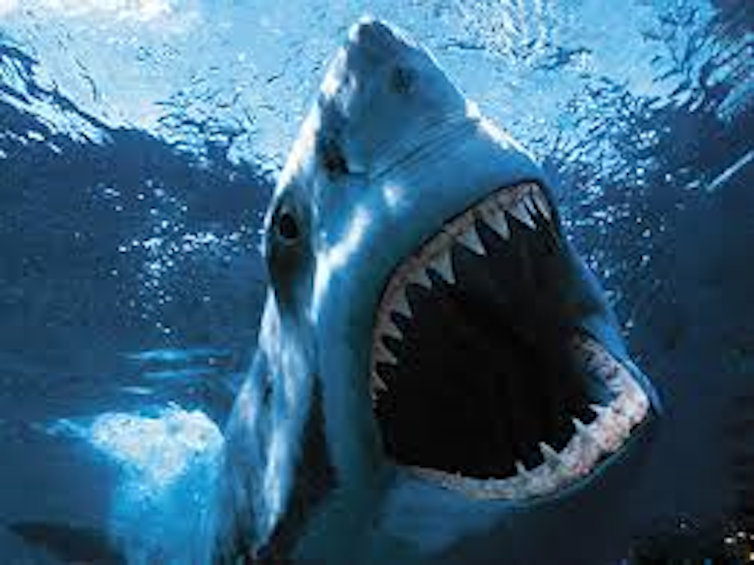 Who's afraid of shareholder activism? Who's afraid of shareholder activism?
