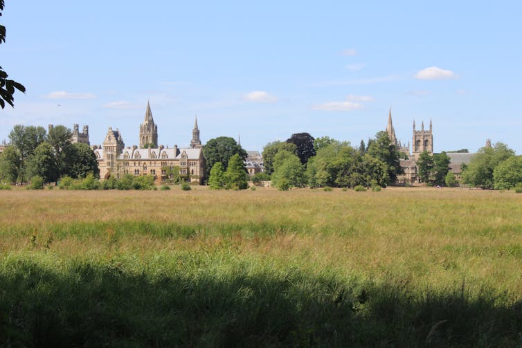 A meadow under a blue sky