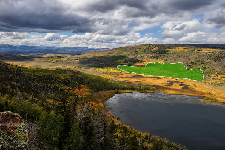 View across a valley with trees highlighted in green