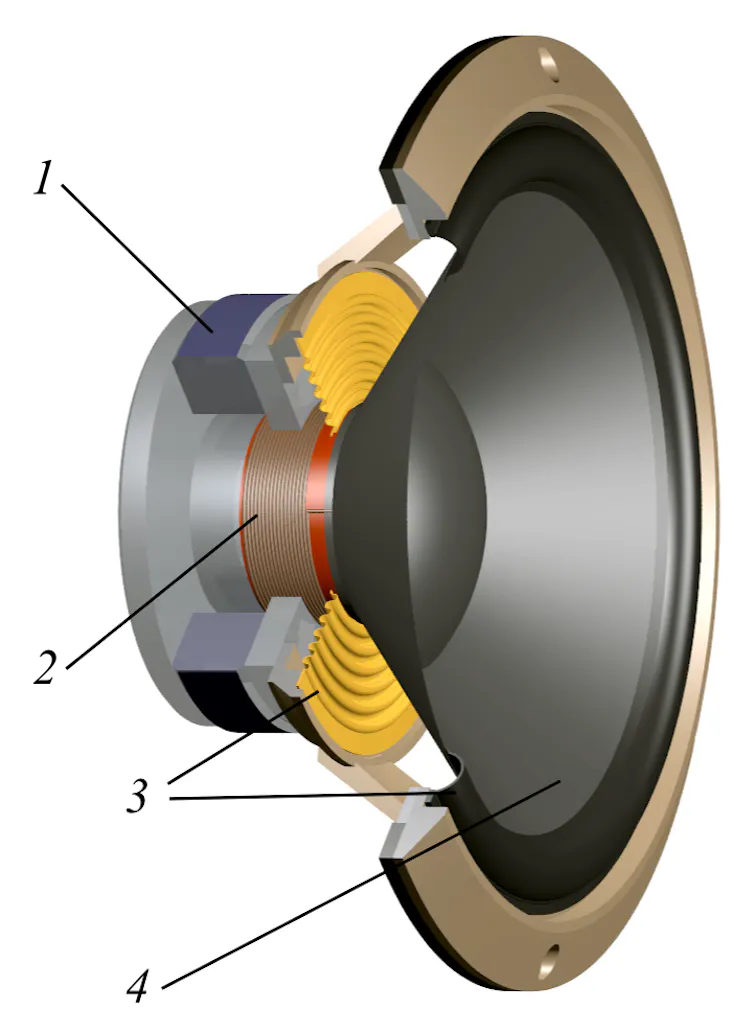 A cutaway diagram of a speaker.