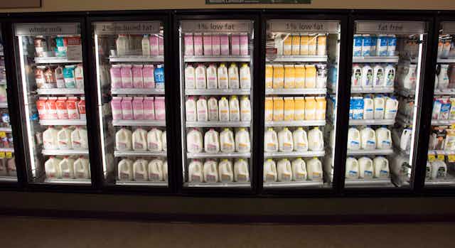 Milk in cartons and jugs at a grocery store