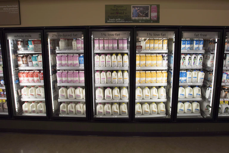 Milk in cartons and jugs at a grocery store
