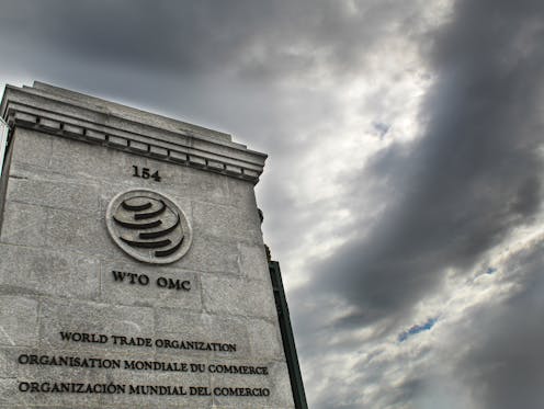 Divided and paralysed, can the WTO negotiate a pandemic recovery plan that is fair for all?