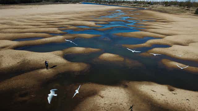 Birds fly over a man taking photos of an exposed riverbed