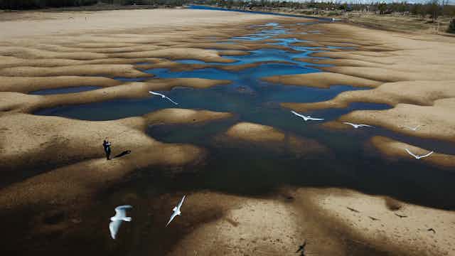 Birds fly over a man taking photos of an exposed riverbed 