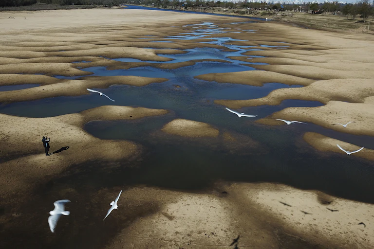 Birds fly over a man taking photos of an exposed riverbed